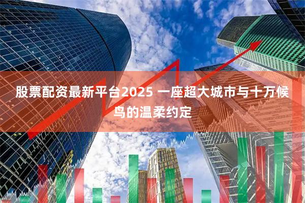 股票配资最新平台2025 一座超大城市与十万候鸟的温柔约定